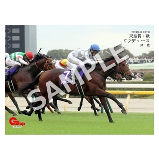 週刊競馬ブック 10/27 天皇賞 かた